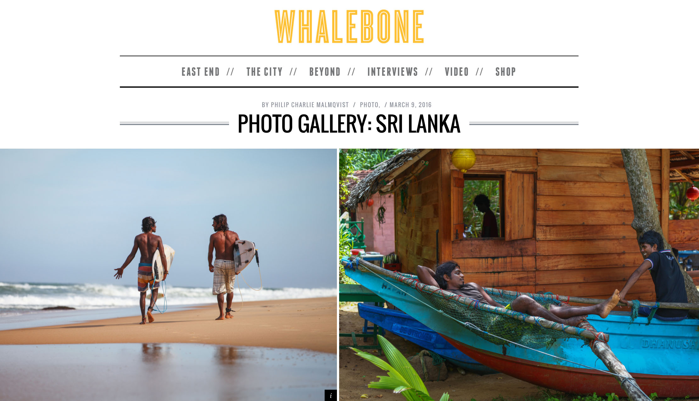 whalebone